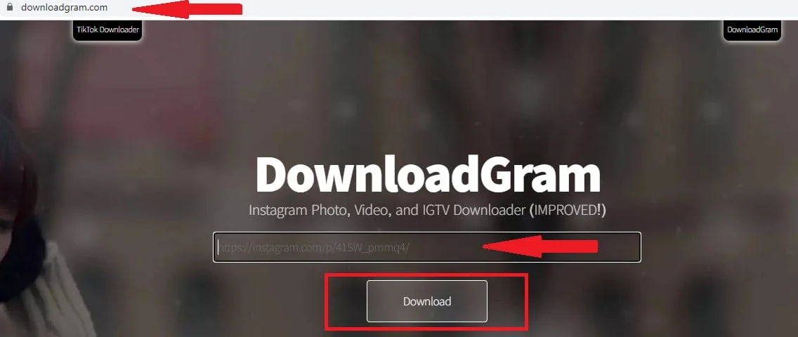 ¿Cómo Descargar Fotos o Vídeos De Instagram? 43 Descargar Fotos o Vídeos De Instagram