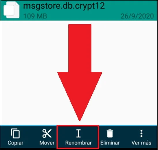 ¿Cómo recuperar conversaciones de WhatsApp? 27 Recuperar conversaciones de WhatsApp