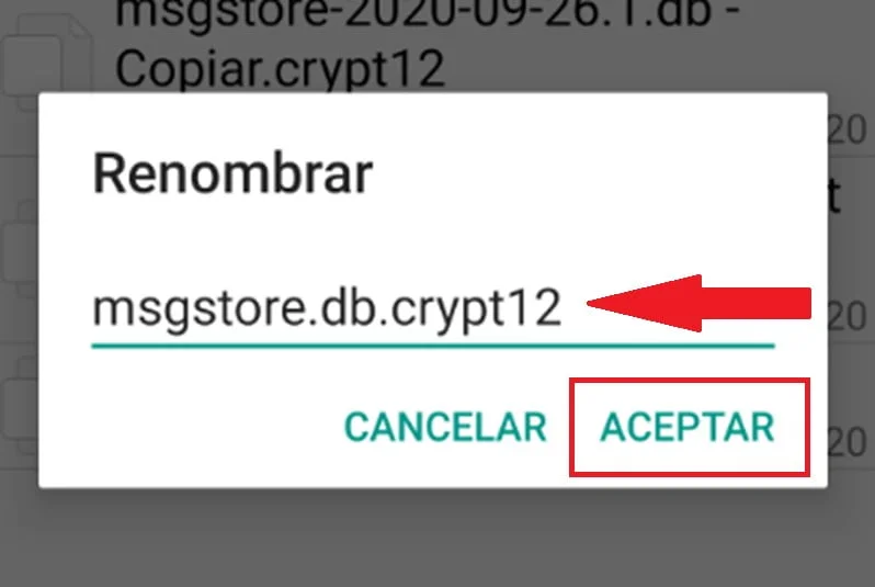 ¿Cómo recuperar conversaciones de WhatsApp? 29 Recuperar conversaciones de WhatsApp