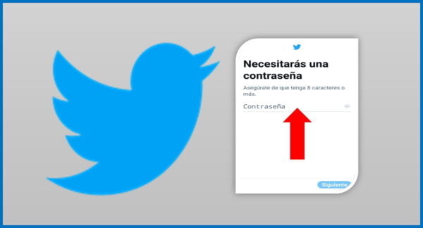 Registrarte e iniciar sesión en Twitter. Paso a Paso