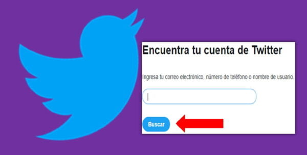 Recuperar cuenta de Twitter
